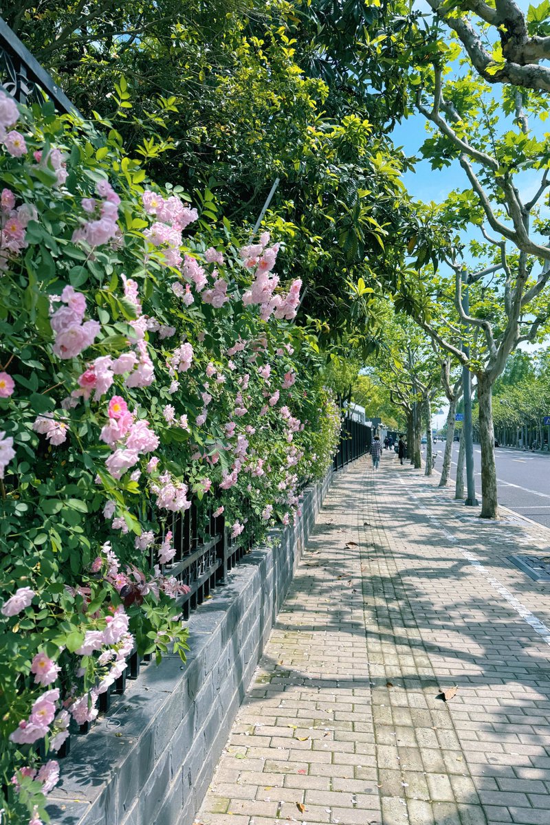 Eliana Amaral tweet media