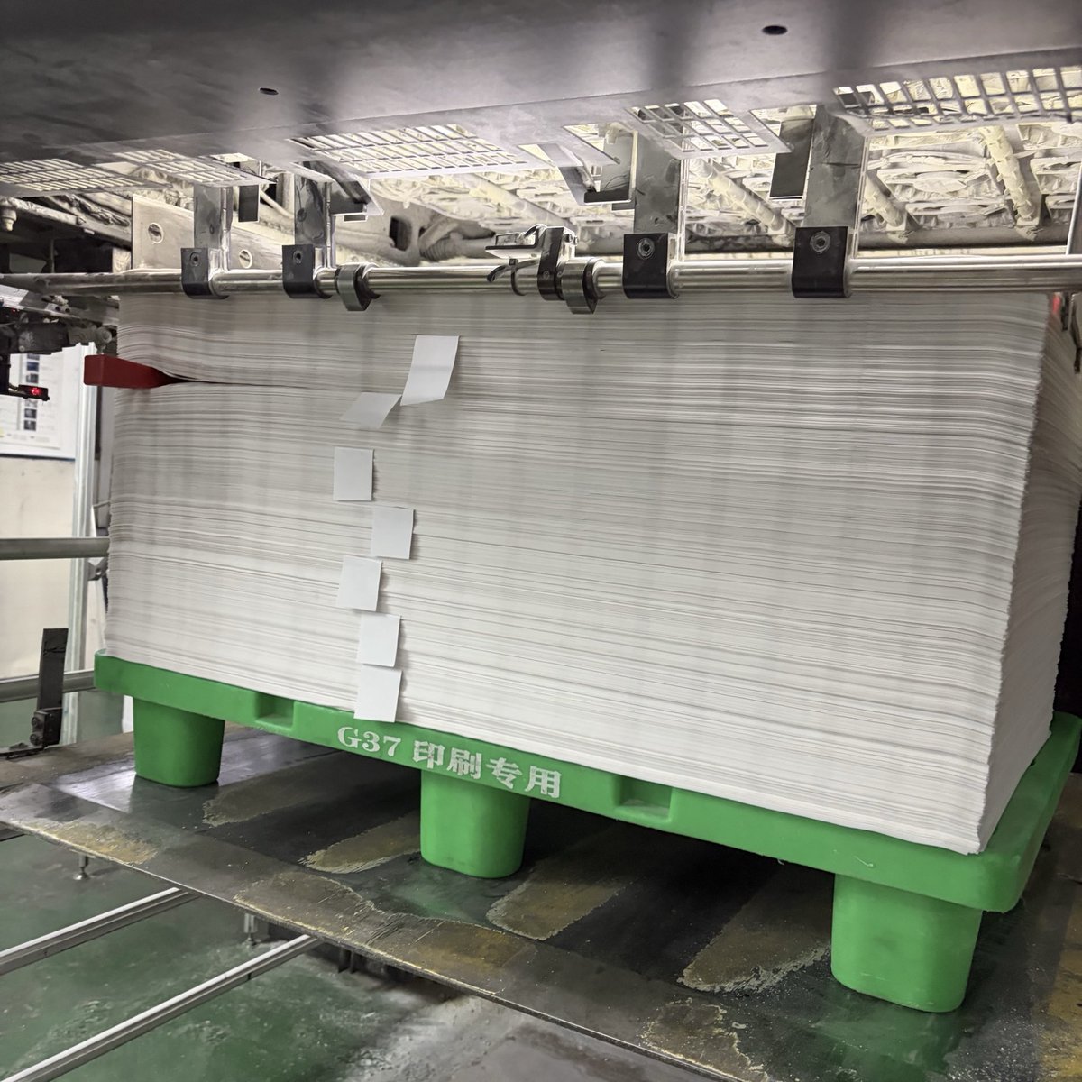 フォントダス tweet media