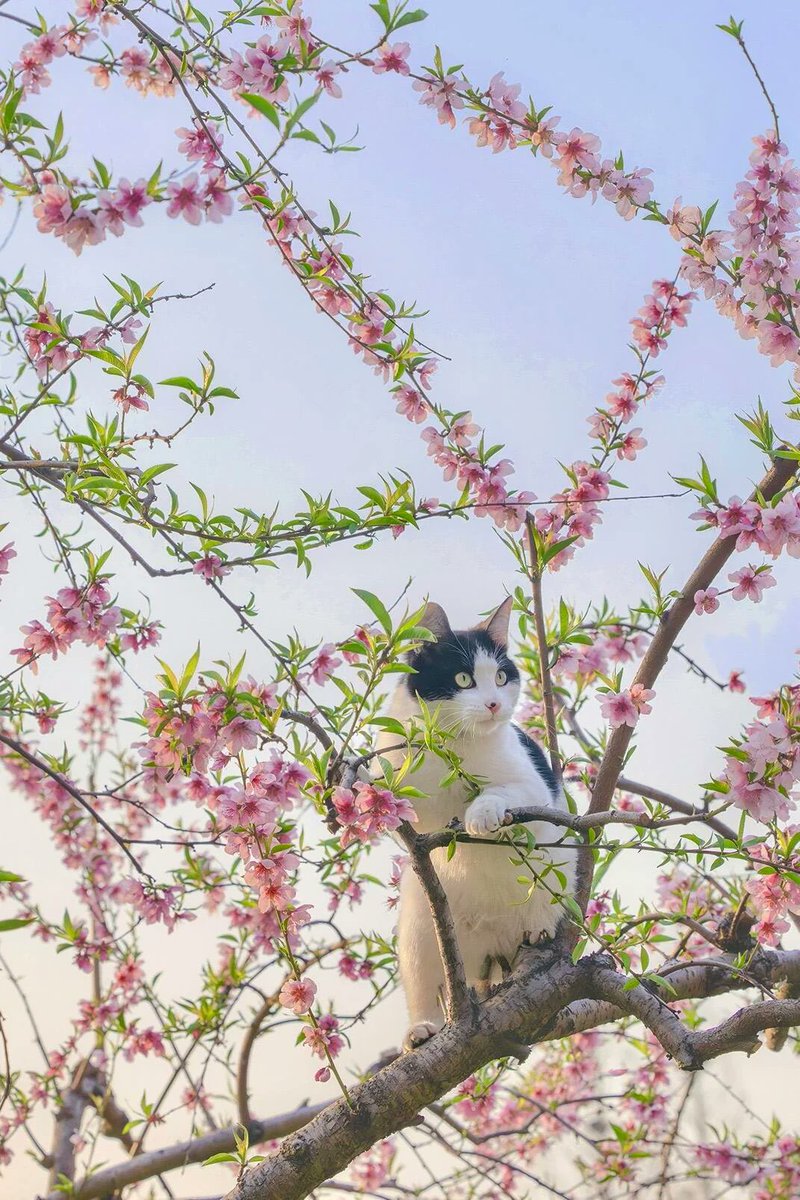 BioDiscoveryHub tweet media