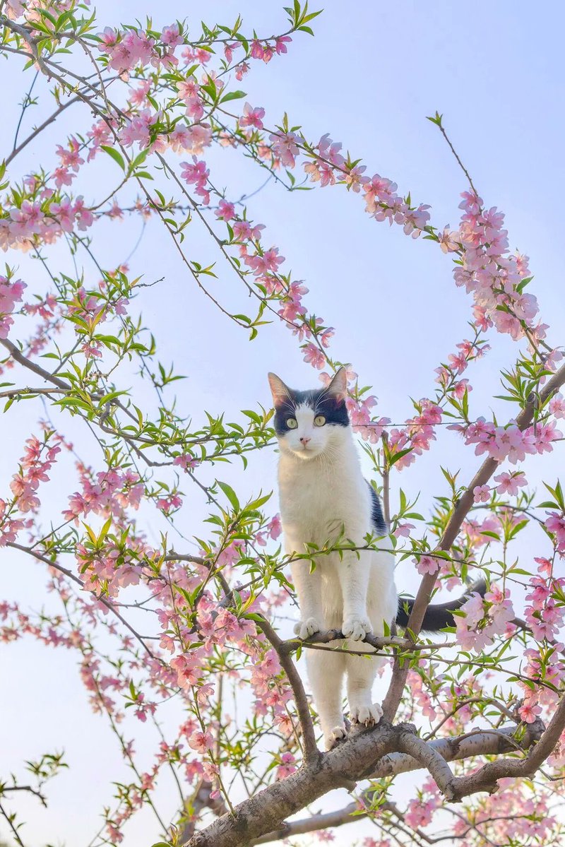 BioDiscoveryHub tweet media