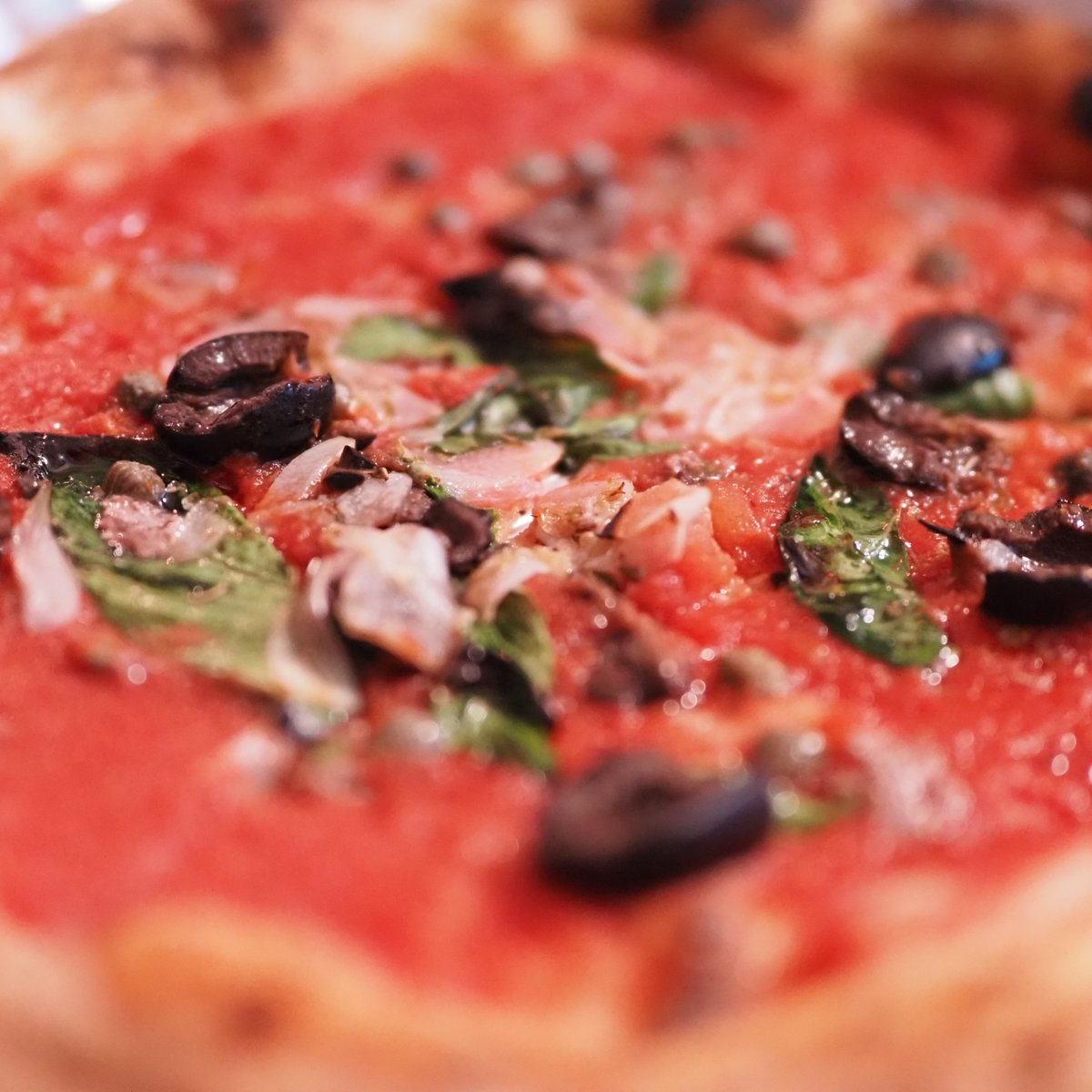 USAGI.NETWORK: Dr.USAGI // うさぎ博士ちゃん tweet media