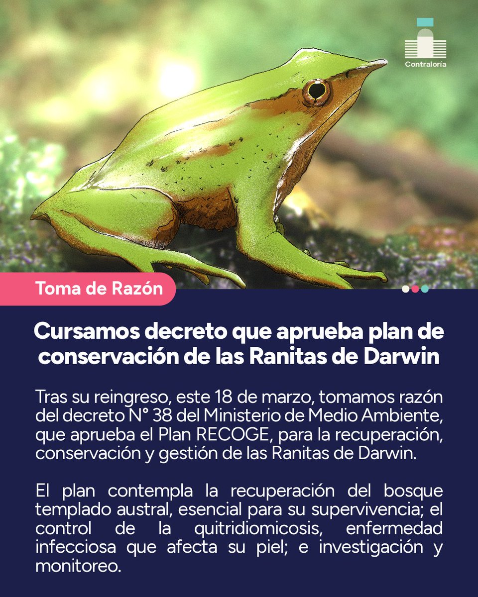 Contraloría tweet media