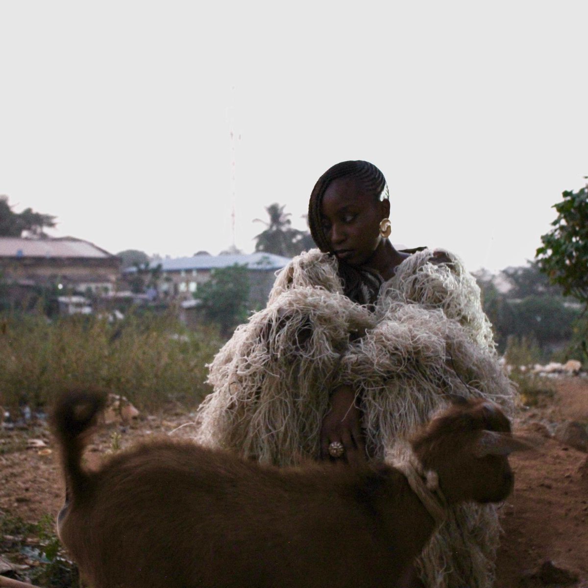 MUSE TRYBE 💜 tweet media