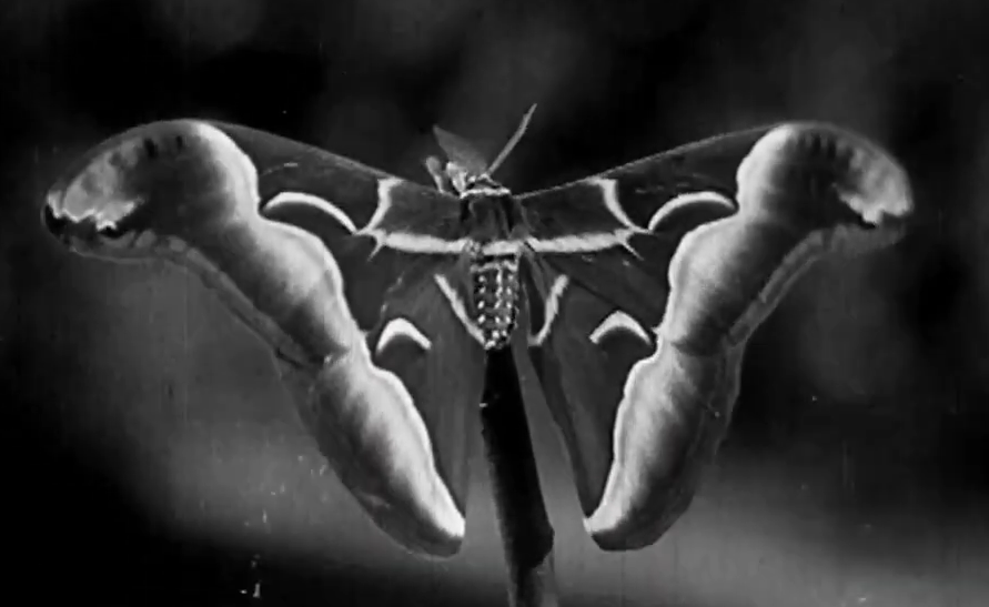 tucker 🪱 tweet media