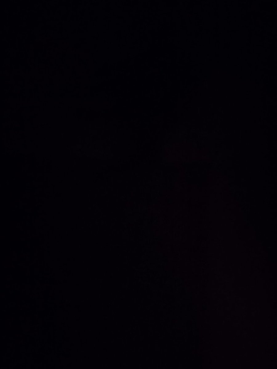 R.Shearman. staying put for the vibes tweet media