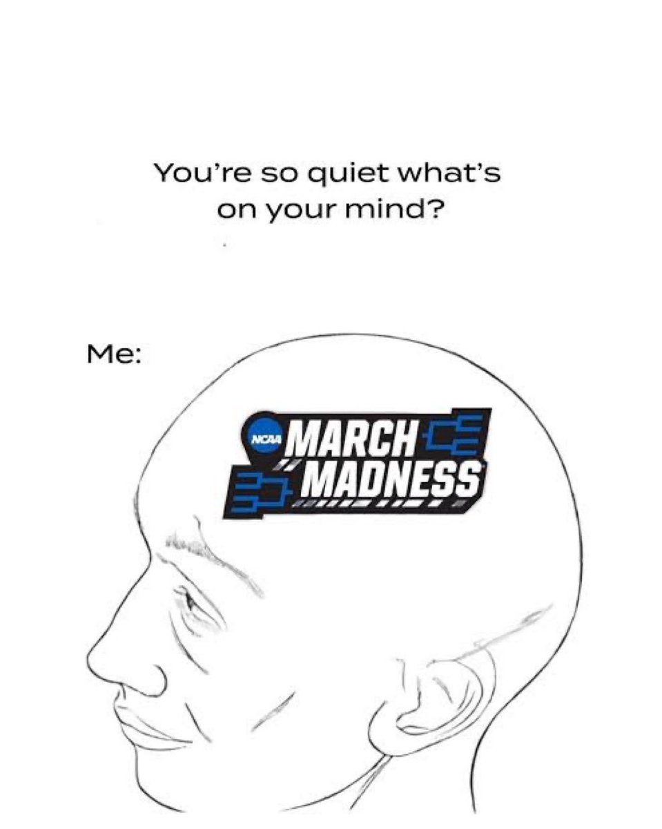 biev 🦫 tweet media