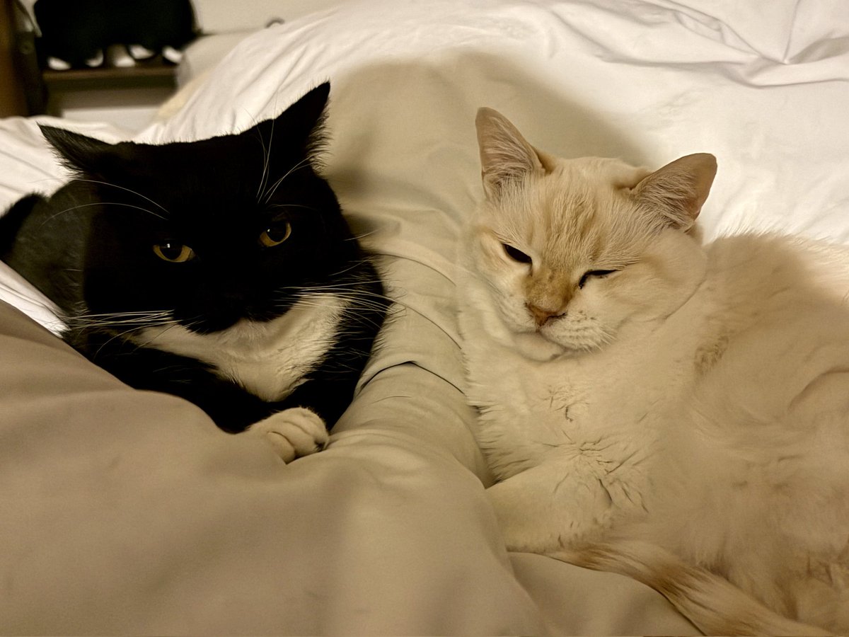 P1nkduud tweet media