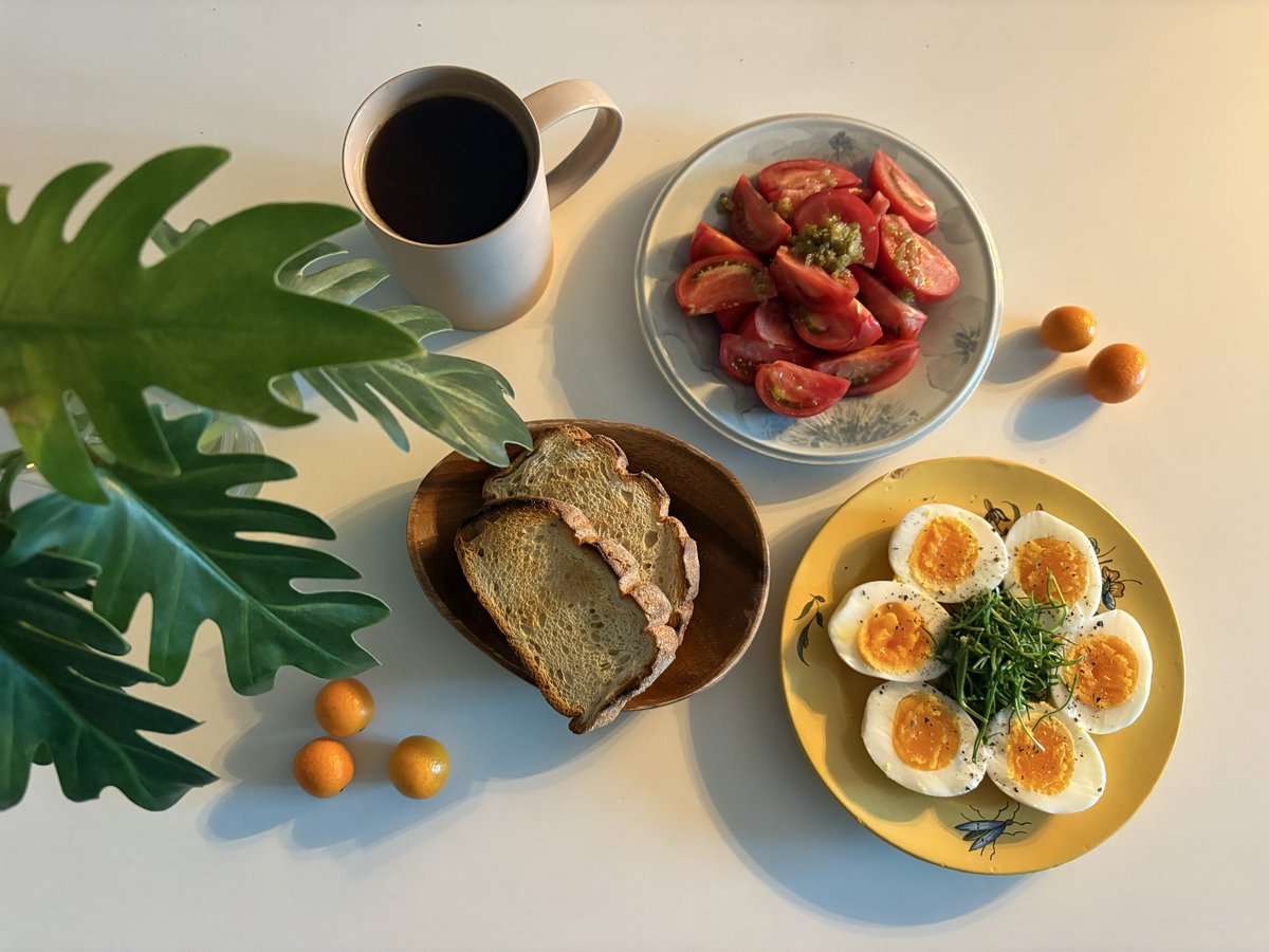 식사일기 tweet media