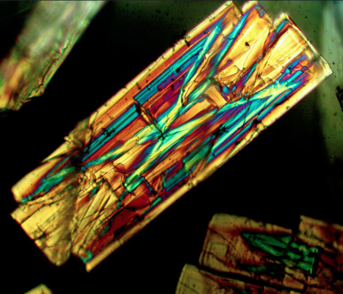 Mineralogical Society of America tweet media