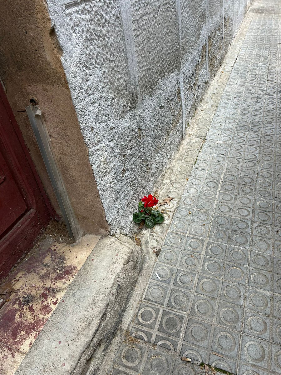 Berta Giraut Junoy tweet media