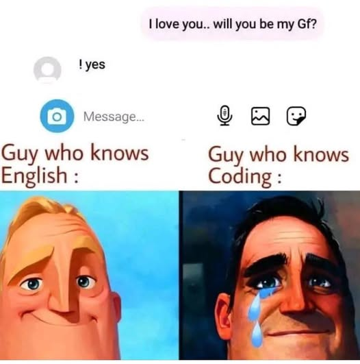 Python Developer tweet media