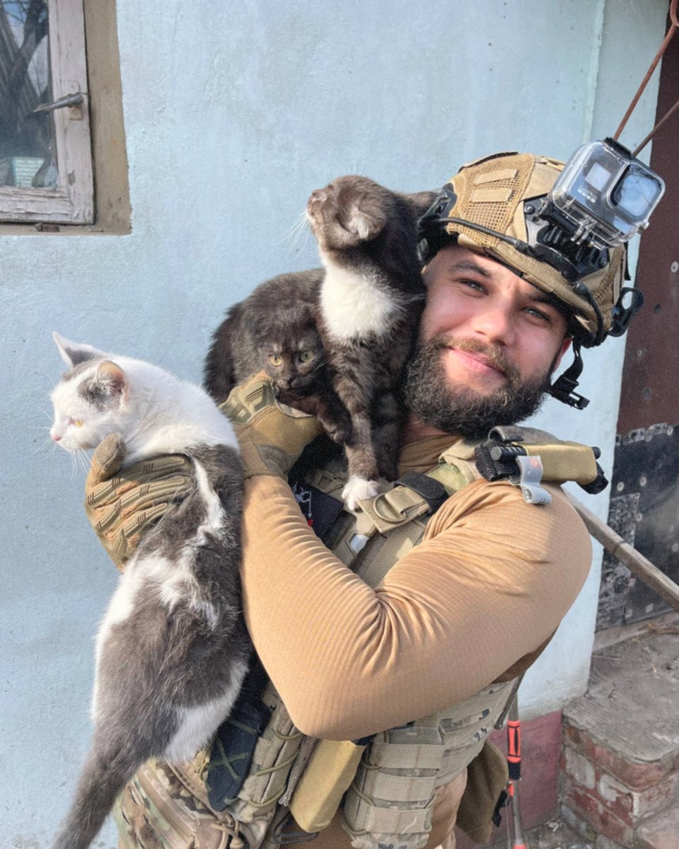 In Ukraine tweet media