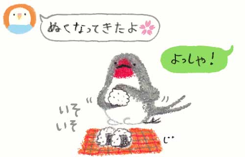 1日おきメモ（中原じゅん子） tweet media