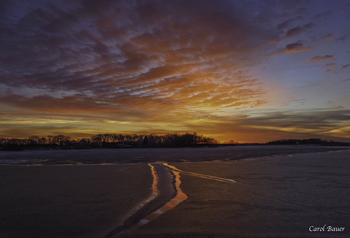 Carol Bauer tweet media