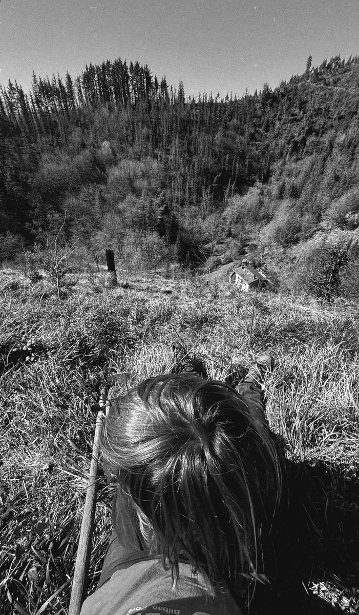 Peio Goiogana Goikoetxea tweet media