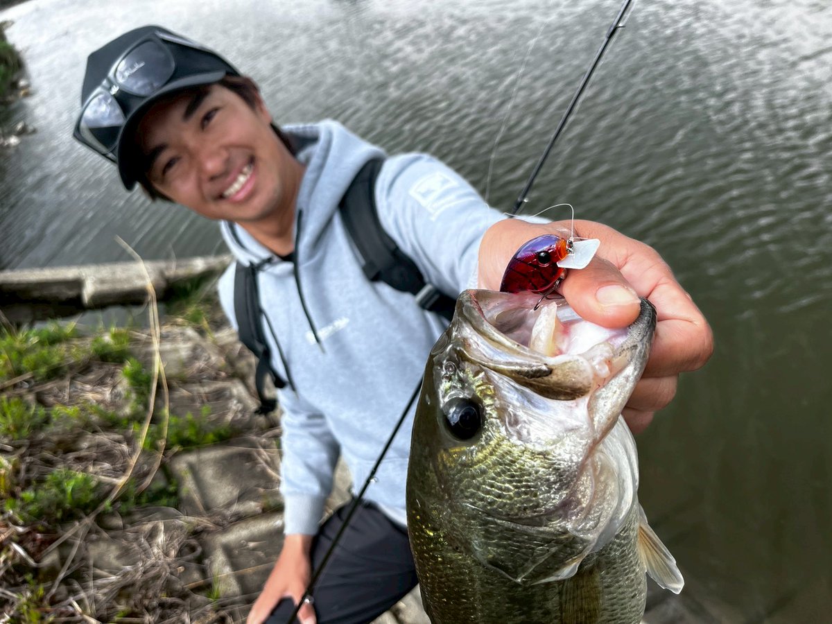 吉田富雄 tweet media