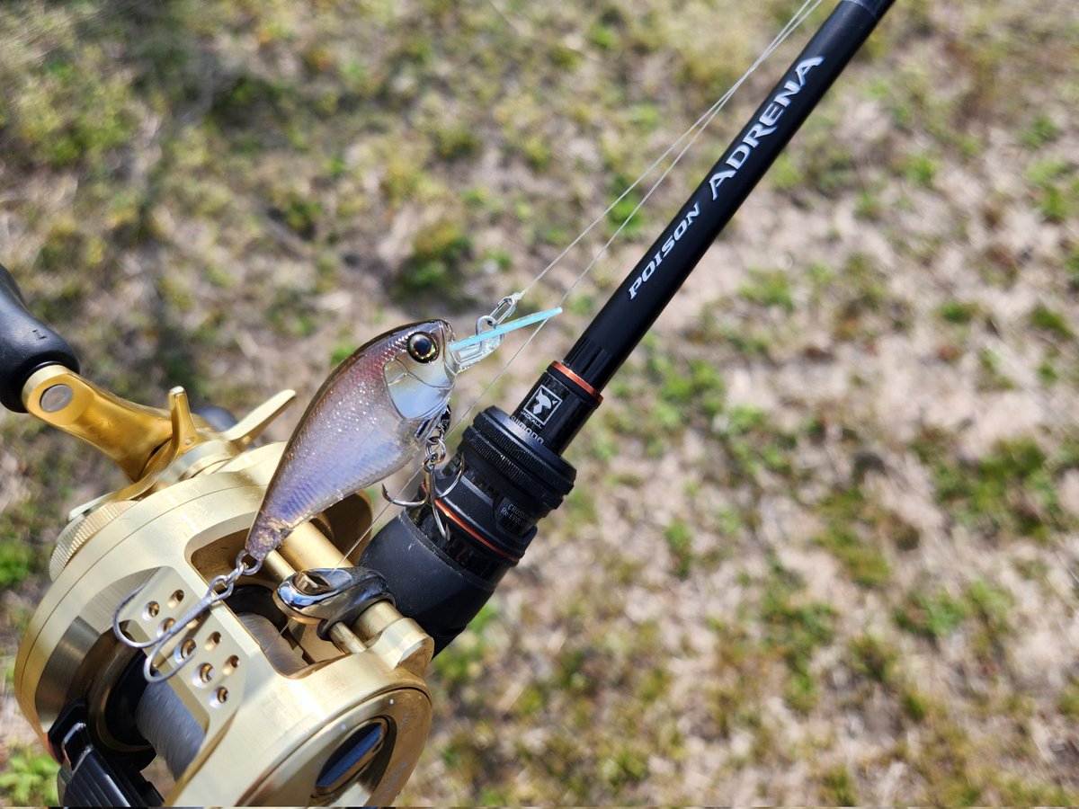 吉田富雄 tweet media