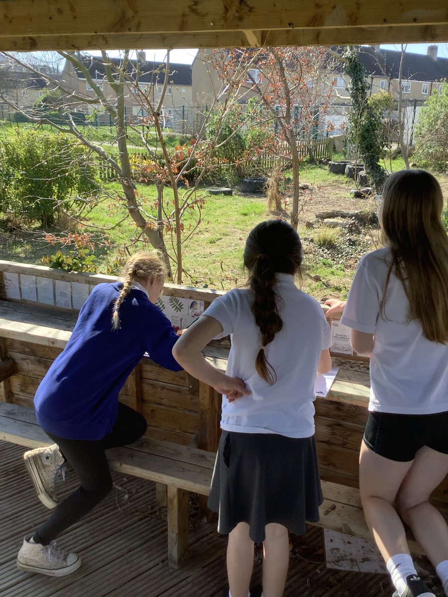 @Ysgol Sant Elfod Abergele tweet media