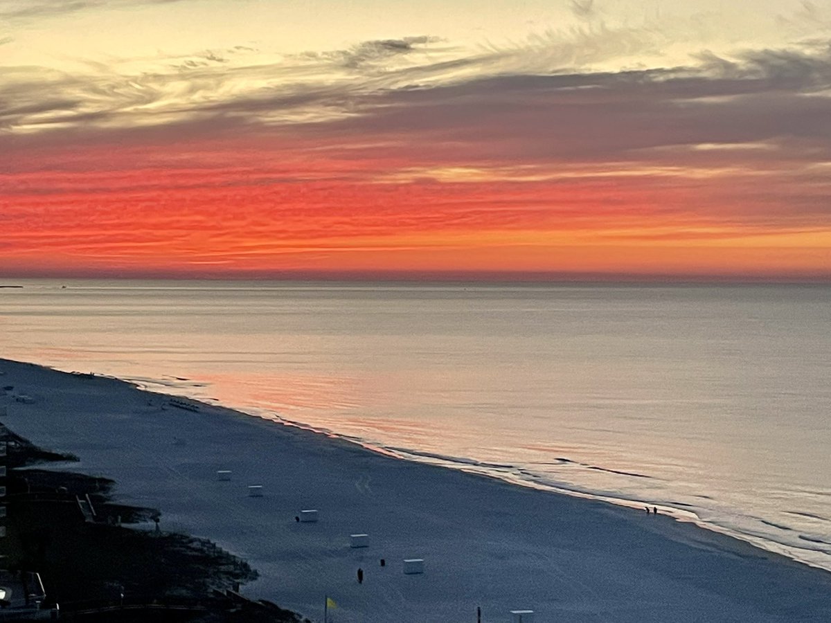 2023 SEC Football Champion 🐘 tweet media