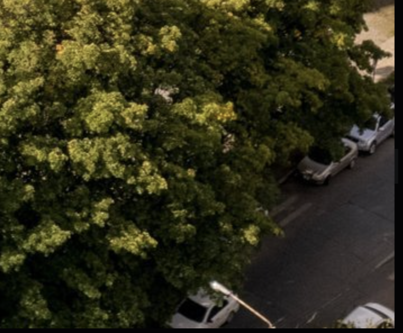 Jacob Shell tweet media