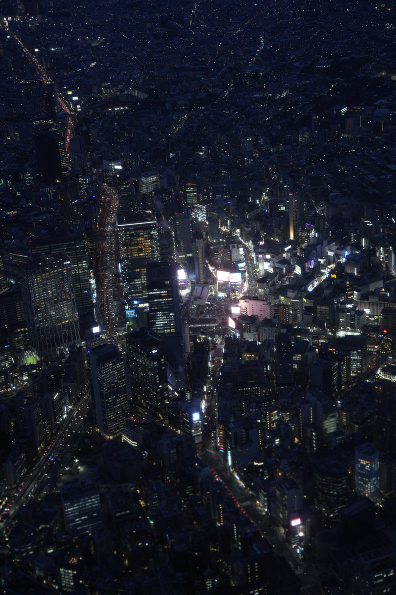 キツネツキ🦊kitsunetsuki.jp tweet media