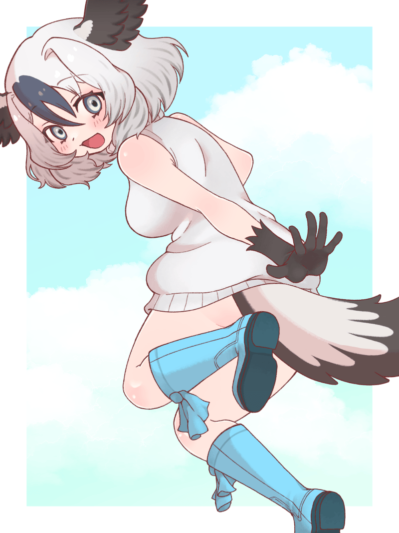 アオアシカツオドリちゃん💕 