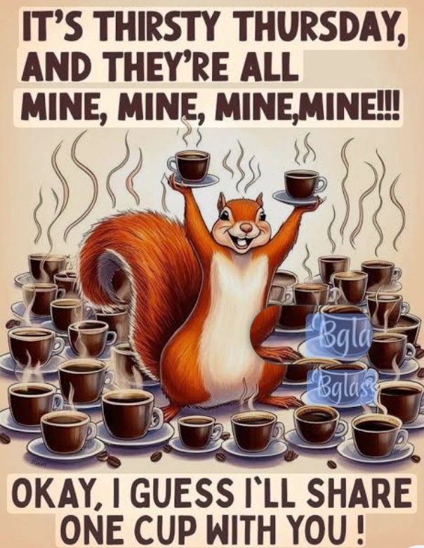 Fred Swartz tweet media