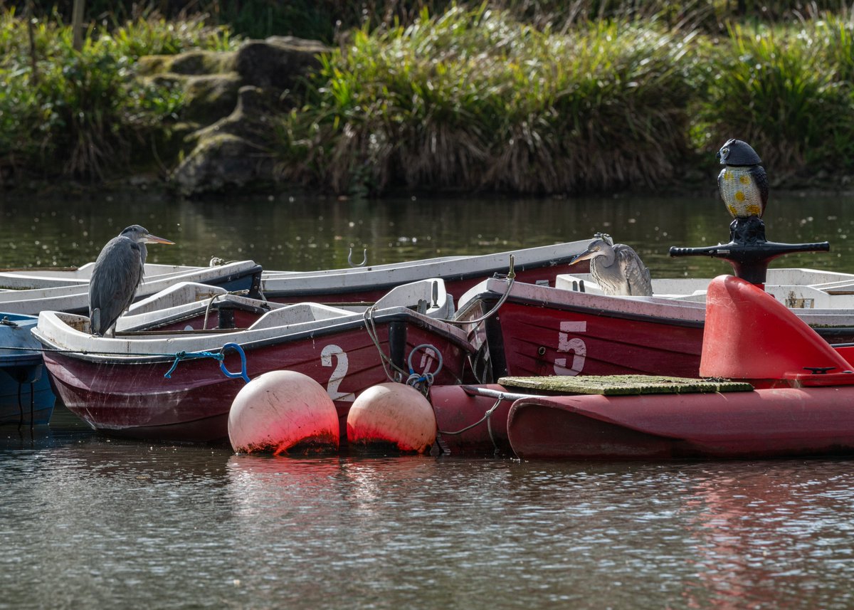 Brian Gallagher tweet media