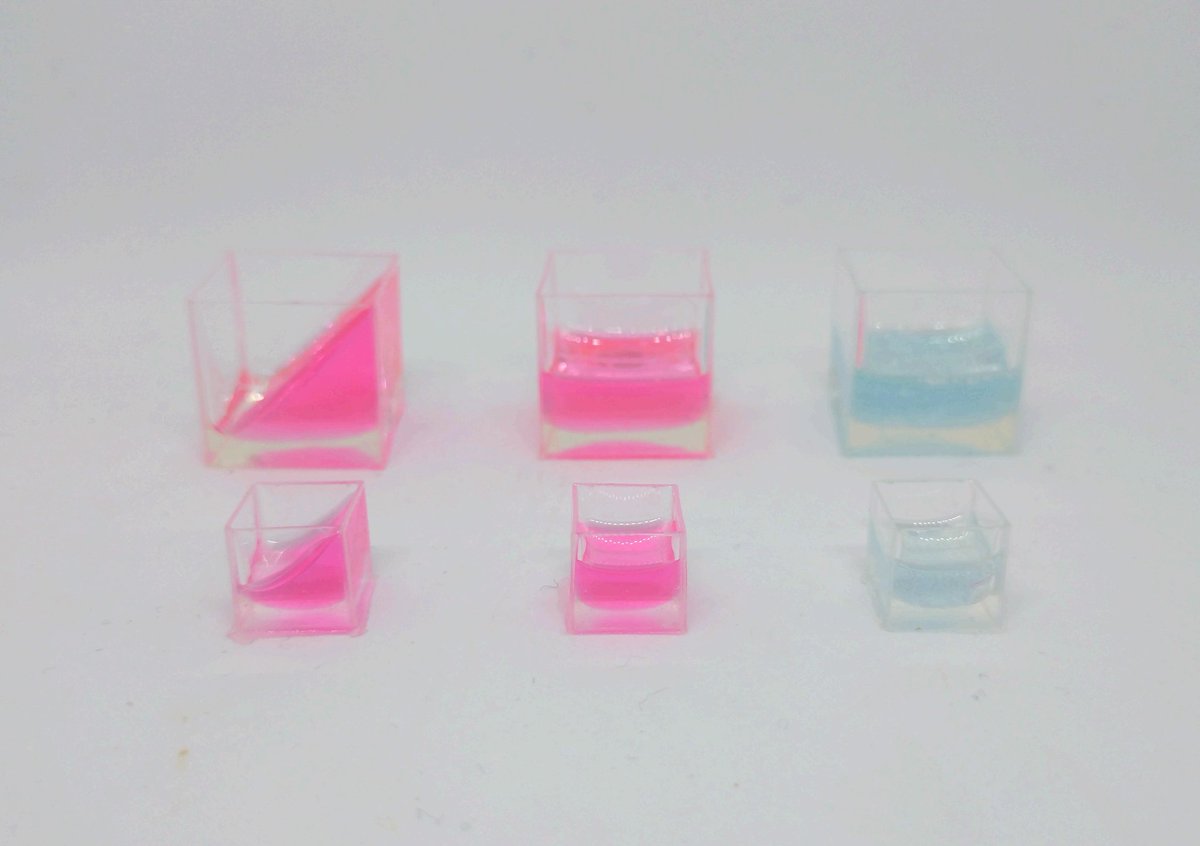 ねこノコ tweet media