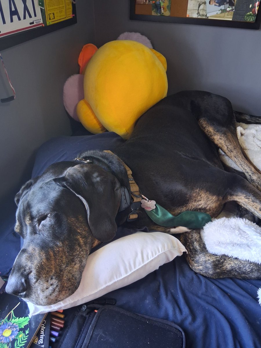 Animal Mother tweet media