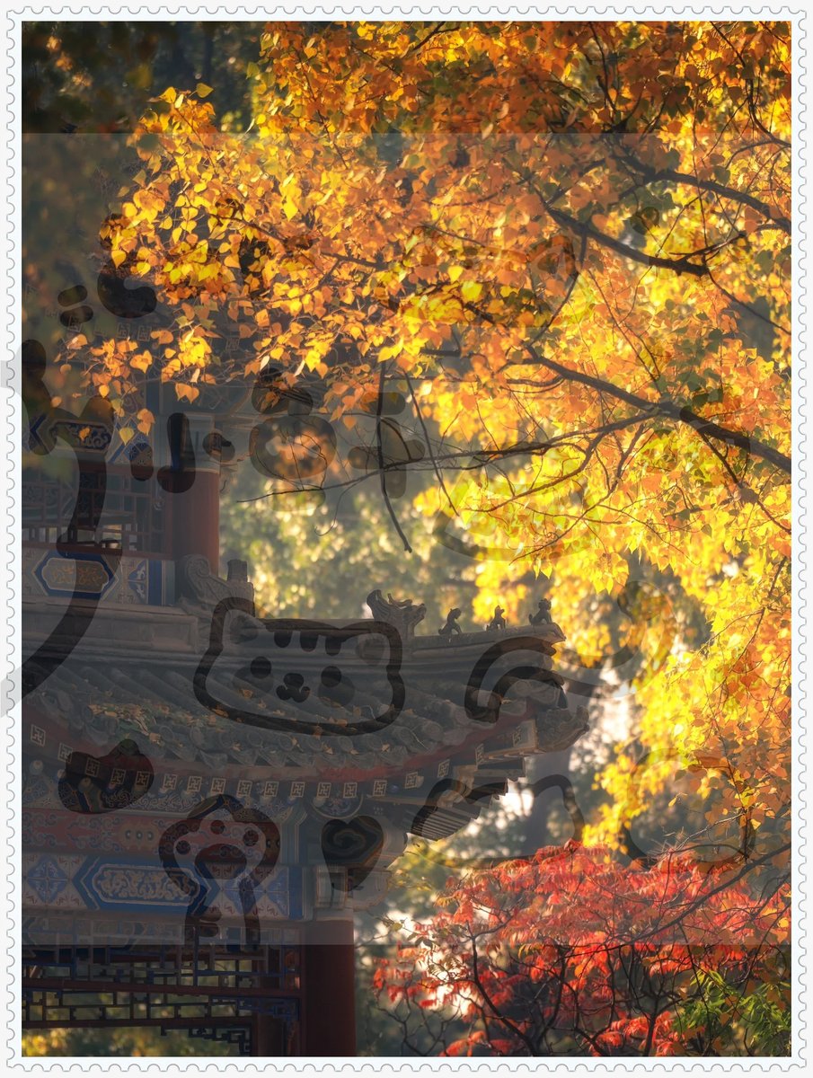 Jesse Collver tweet media