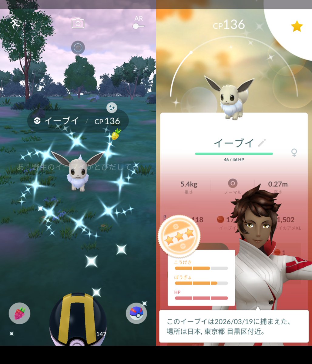 PikachuYokohama's tweet photo. Today's shiny.
I was defeated by a surprise attack once again.

またしても不意打ちにやられてしまった。

#PokemonGo #shiny #Indeedee #Eevee #Zamazenta #PokemonGOfriend #ポケモンGO #イエッサン #イーヴイ #ザマゼンタ #今日の色違い https://t.co/FN3cdADRnx