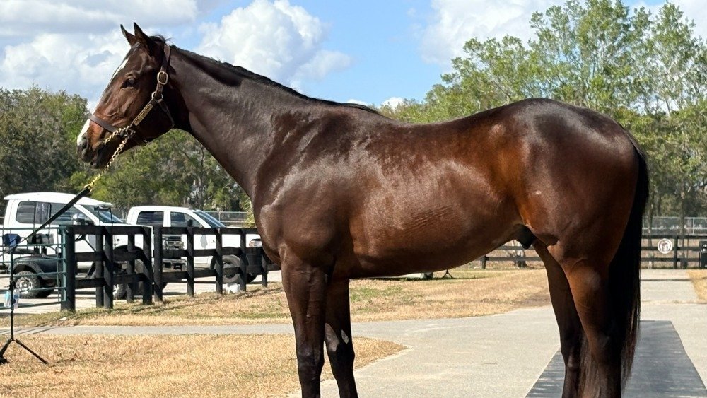 URacingStables tweet media