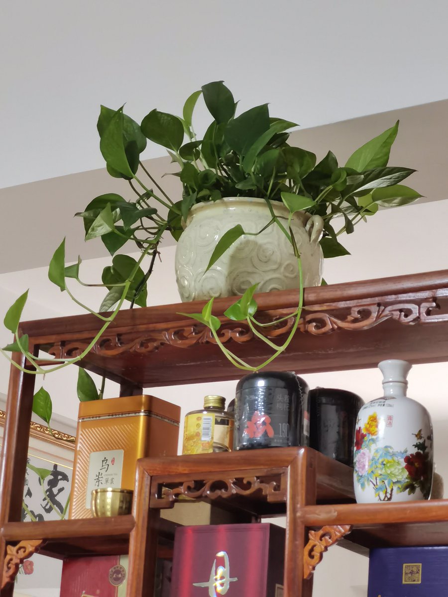 S Middlebrooks tweet media