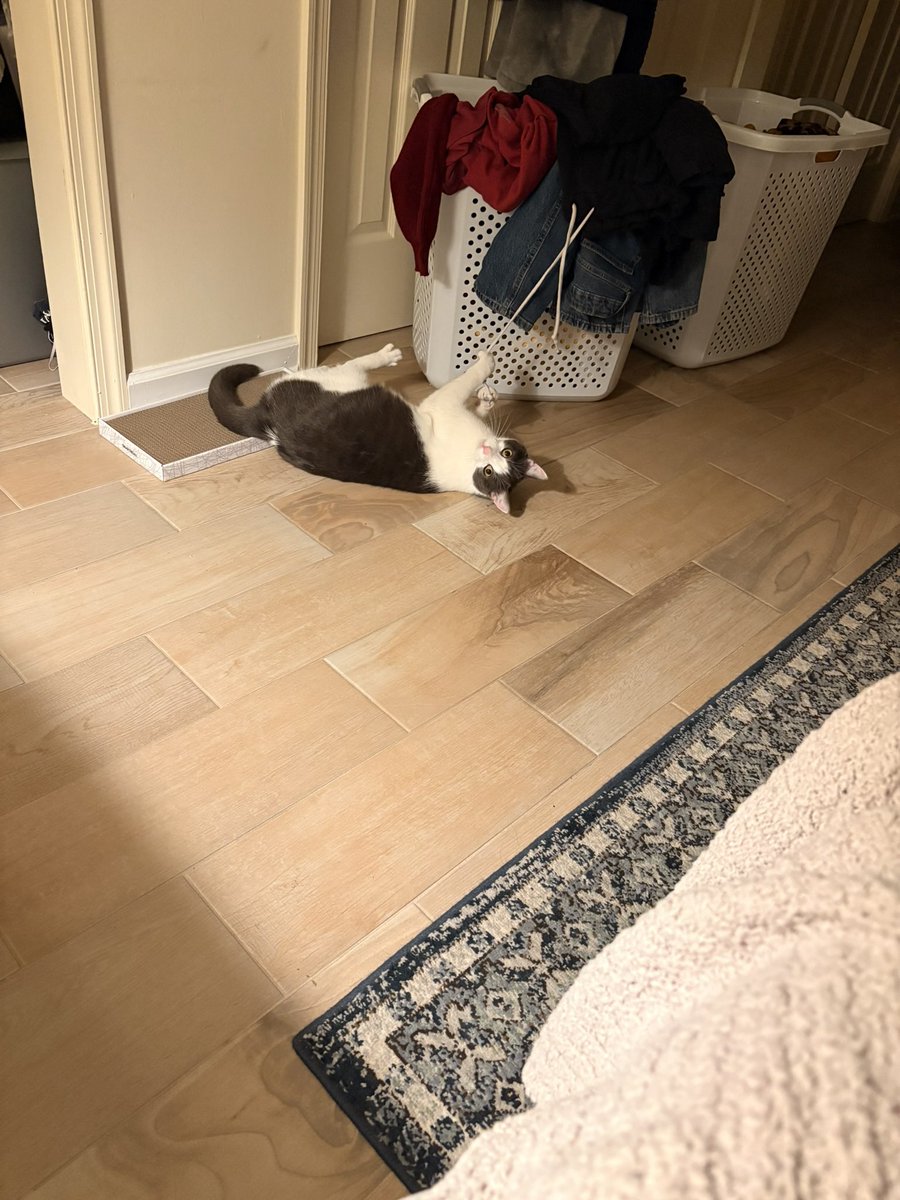 Can I Kick It? 🖤 tweet media