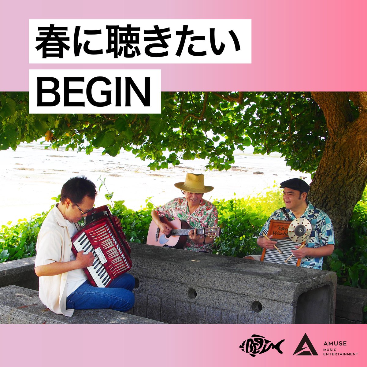 アミューズミュージックエンタテインメント tweet media