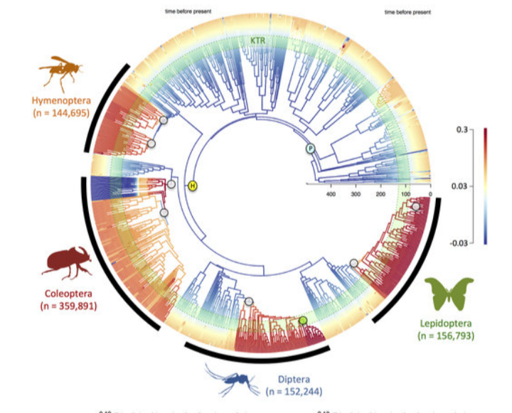 James Albert 🐟 🇺🇦 tweet media