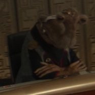 Coobalt 🟢| TivikWatch tweet media