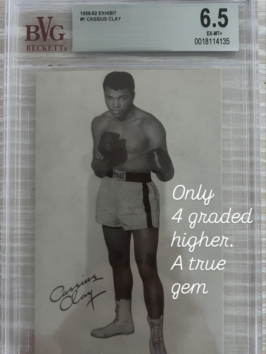 TSN CARDS tweet media