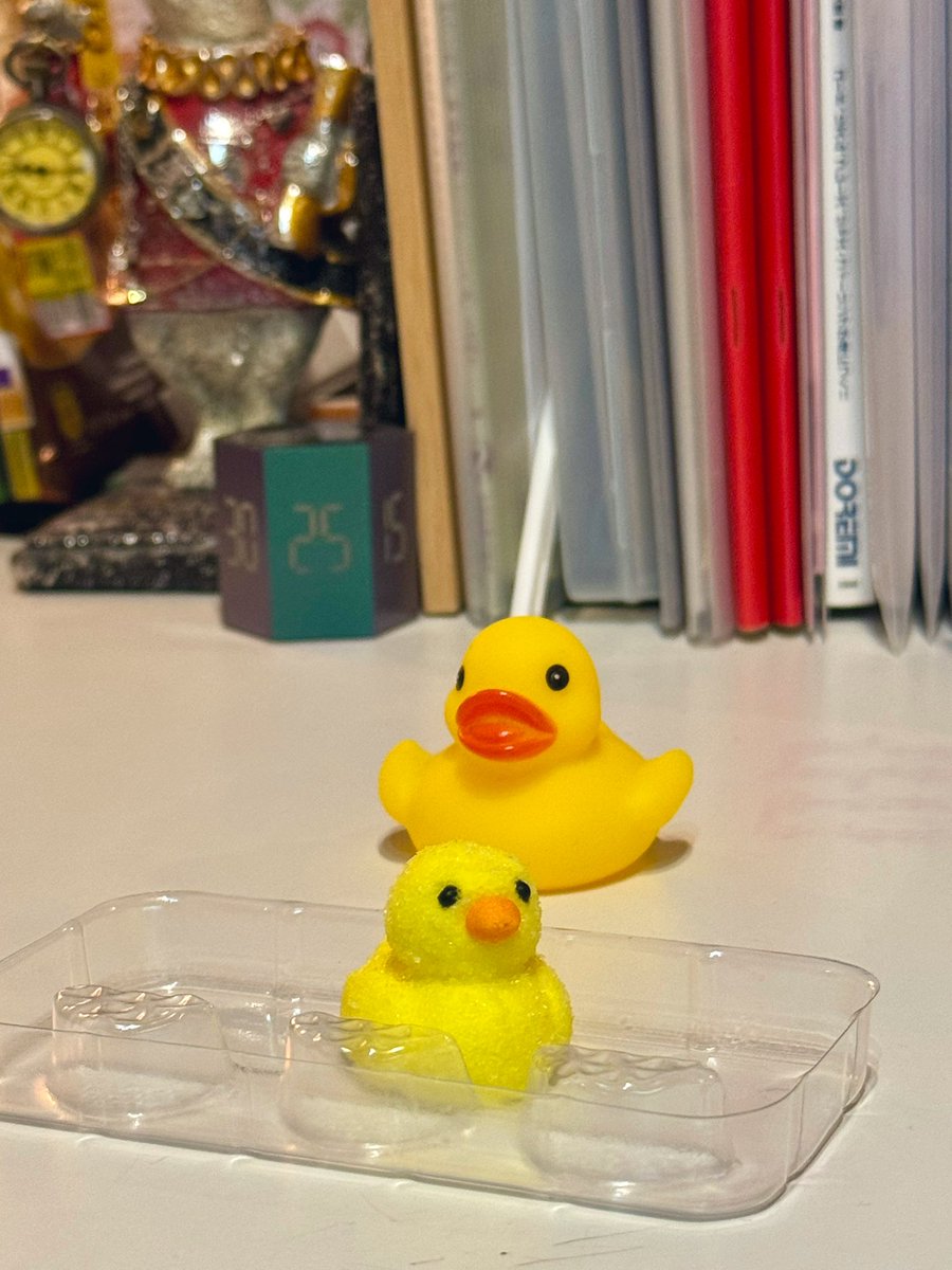 小山文榮　Yukie Koyama 🎹 tweet media