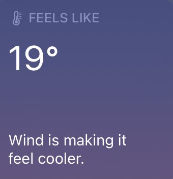 nia 🦇🩸#renewtalamasca tweet media