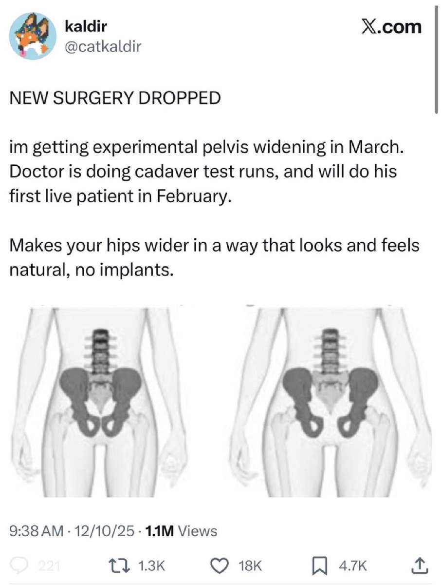 PNW Conservative tweet media