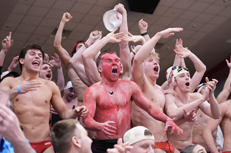 LanceMcAlister tweet media