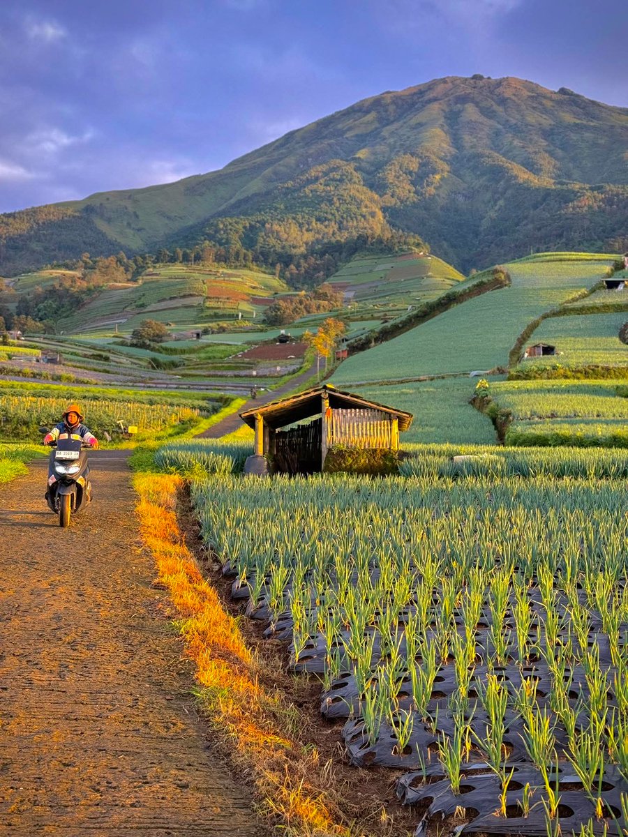 Gork-Small tweet media