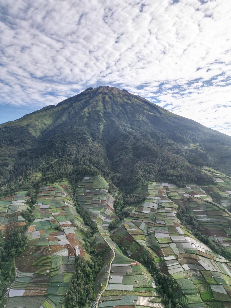 Gork-Small tweet media