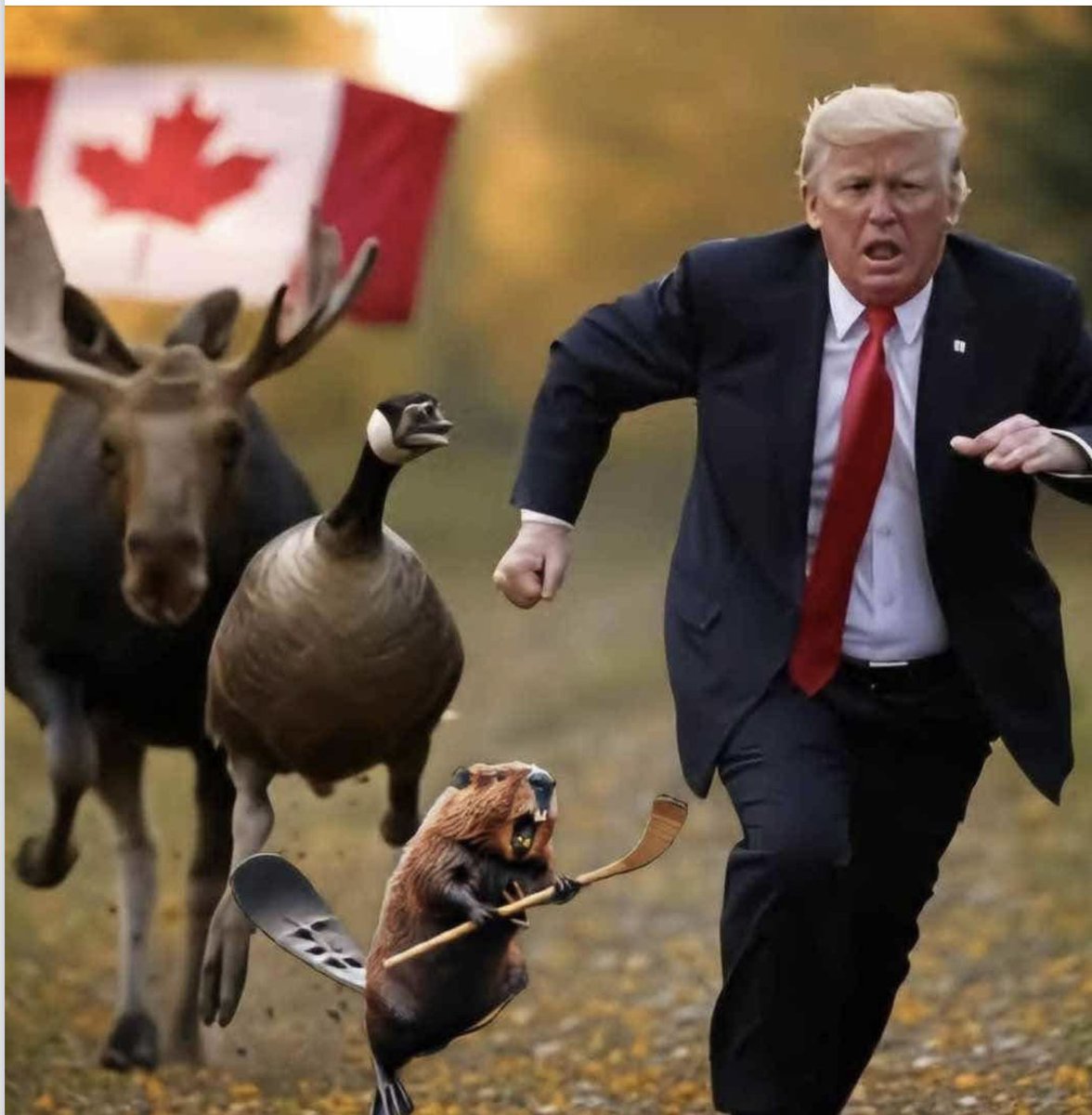 Mykhailo Rohoza tweet media