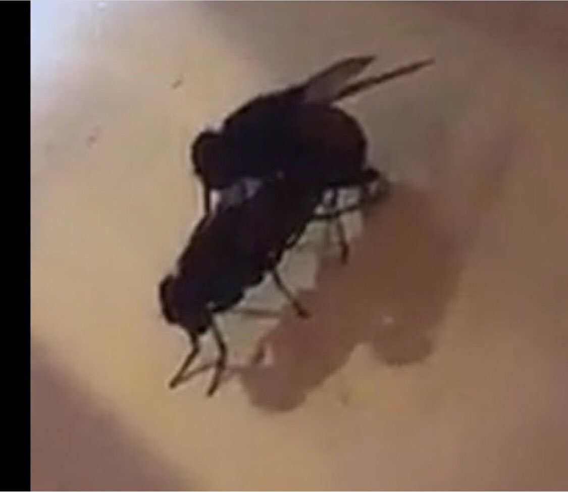 Miiiiiike tweet media