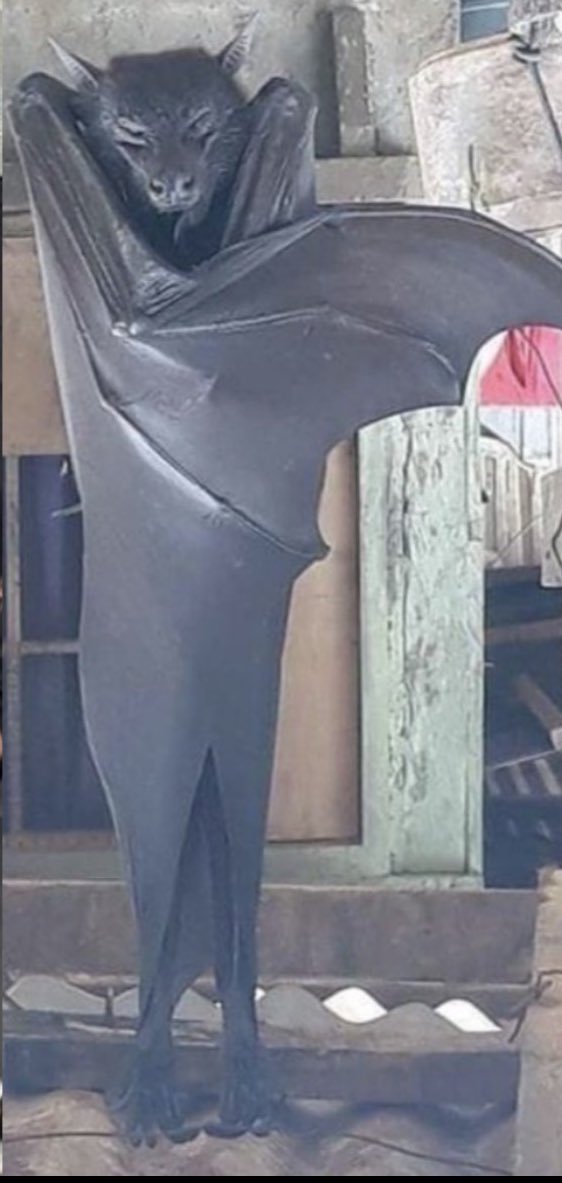 Mersedeh J.Z🇮🇷 tweet media