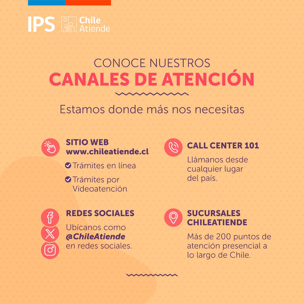 IPSChile tweet media