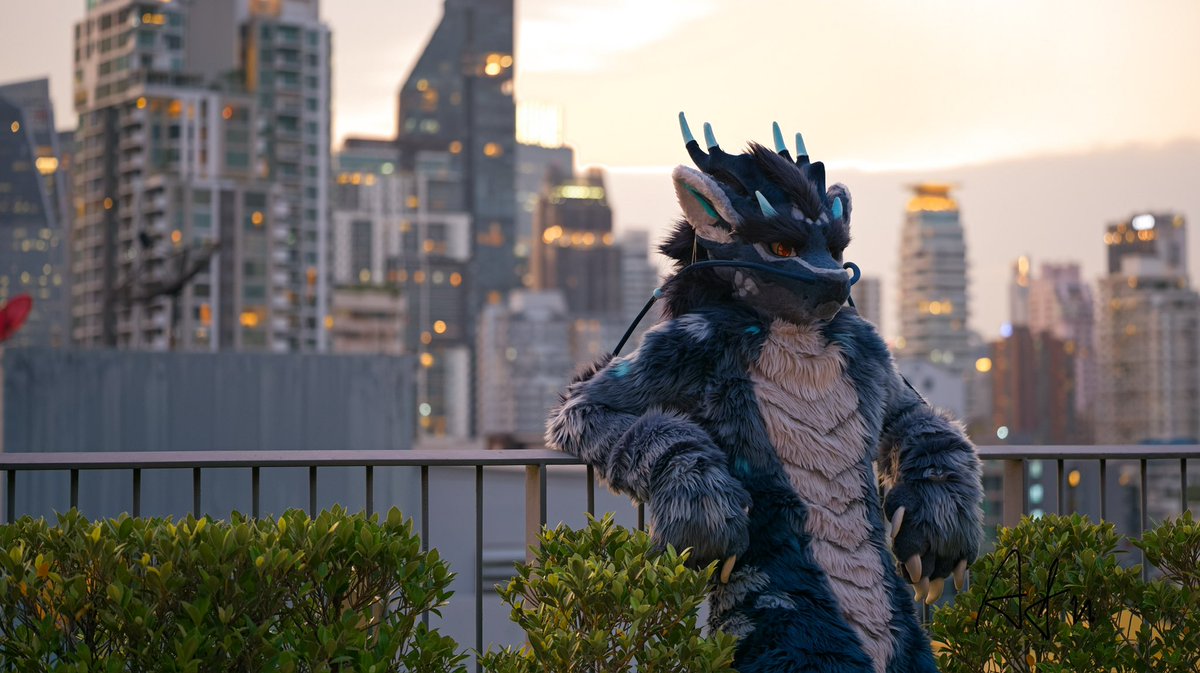 ➡️nighrvern.bsky.social tweet media